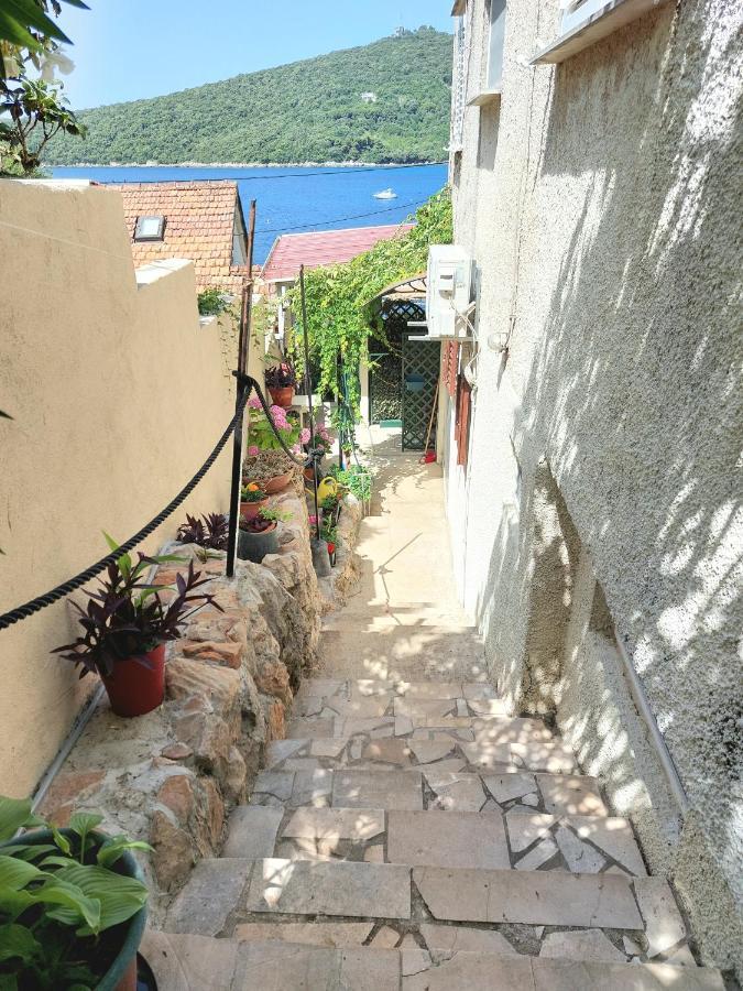 Villa Riva Molunat Exterior photo